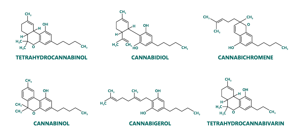 Qu'est-ce que le CBD ? Structure moléculaire des différents cannabinoides (CBD/THC/CBG/CBN/THV/...)